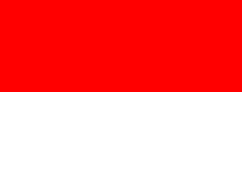 Flag_of_Indonesia.svg (1)